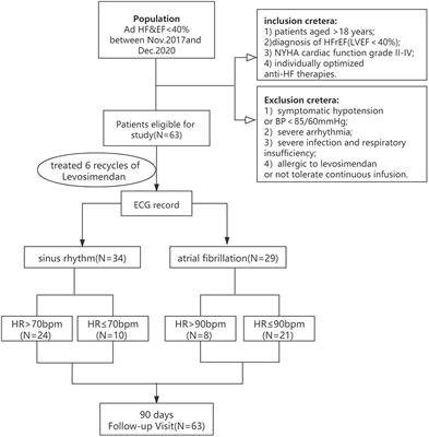 Is there any difference in the therapeutic effects of Levosimendan on advanced HFrEF patients with sinus rhythm or atrial fibrillation?